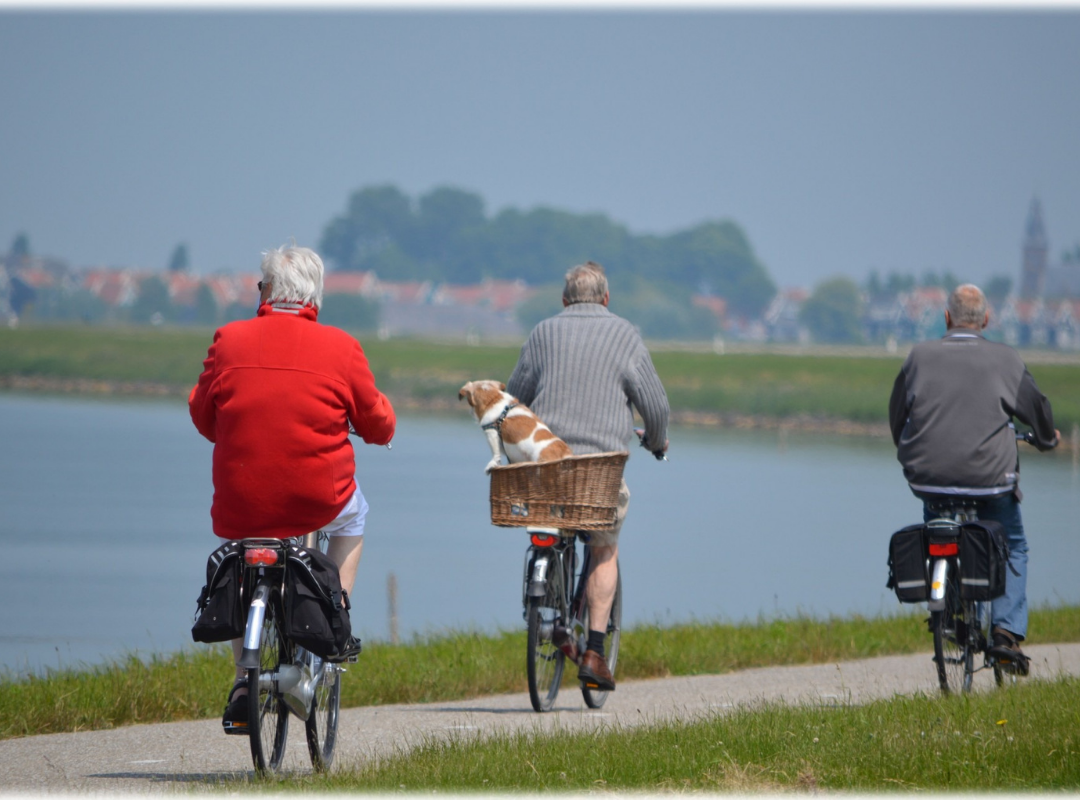 outdoor activities for elderly
