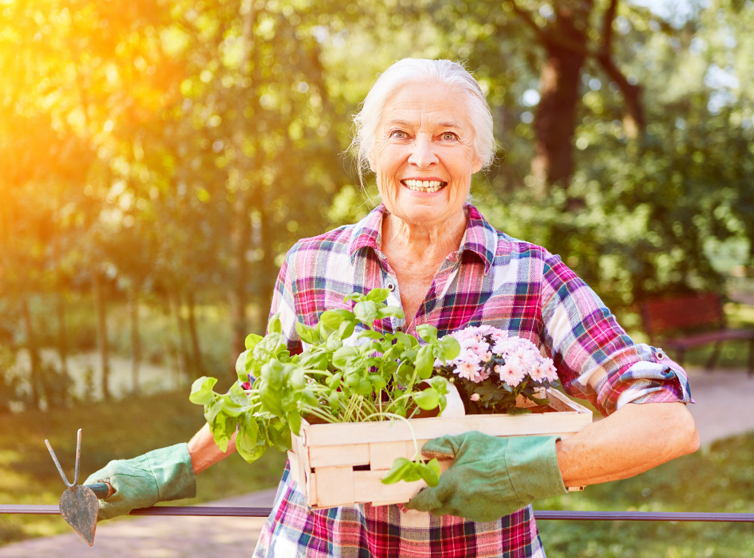 gardening benefits for seniors